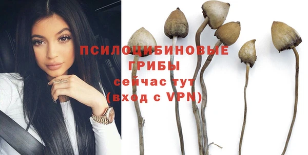 кокаин Богородицк