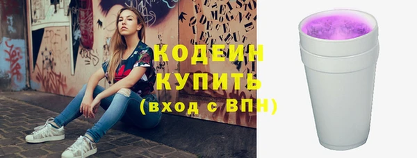 хмурый Богородск