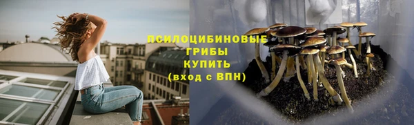 кокс Богданович