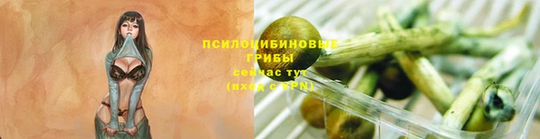 хмурый Богородск
